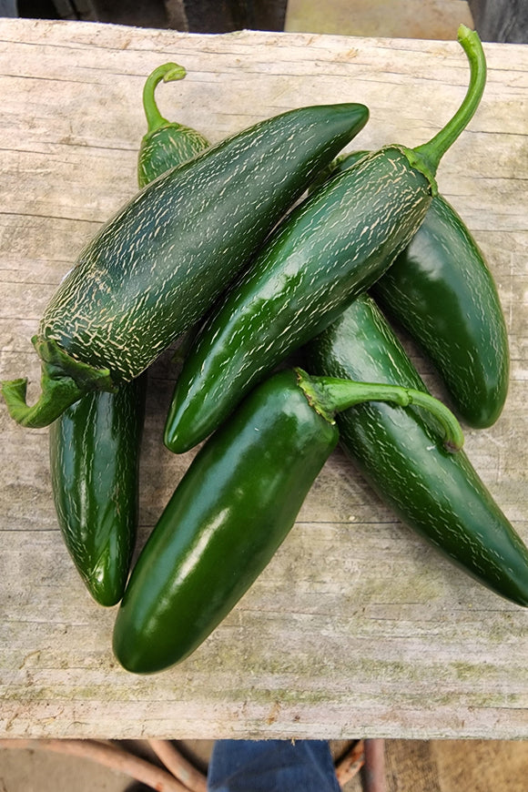 Jalapeño Peppers