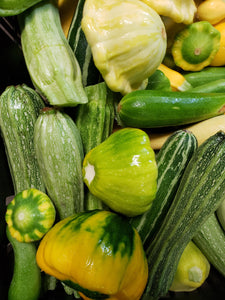 Small Mix Summer Squash-Three Sisters Garden